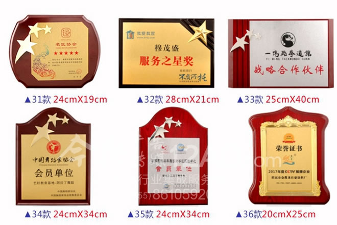 31~36款奖牌样板