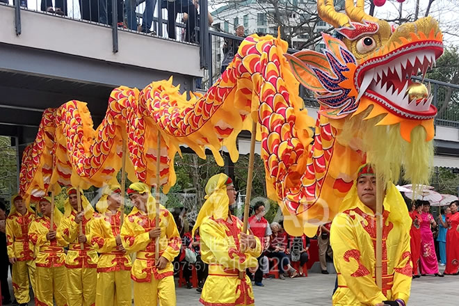 舞龙队伍闪亮登场